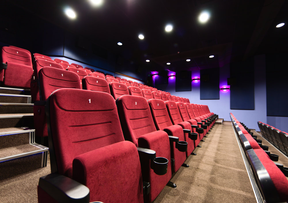 Professional cleaning company for movie theaters 